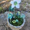 Art floral